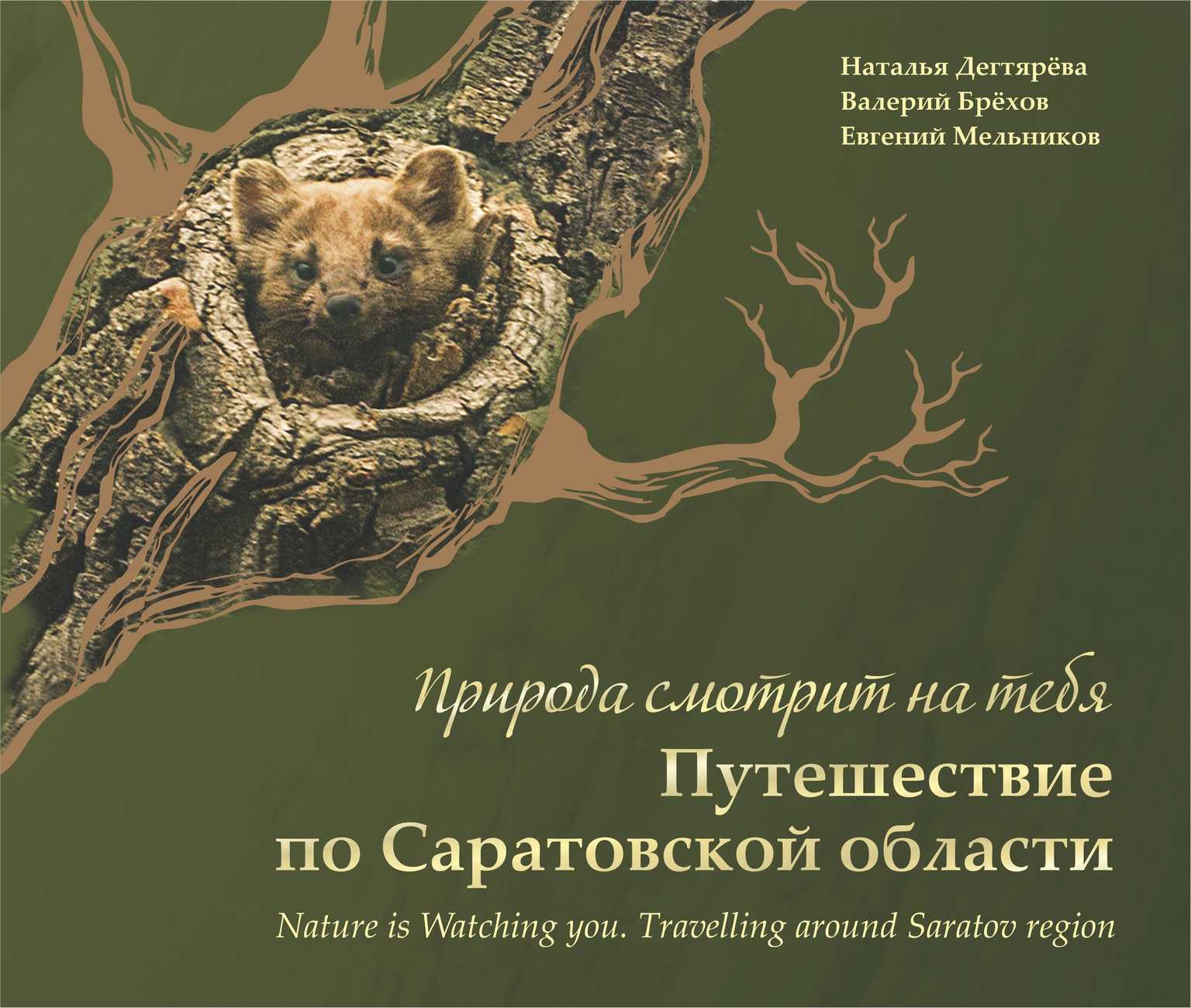 Обложка: Книга-альбом «Природа смотрит на тебя. Путешествие по Саратовской области»